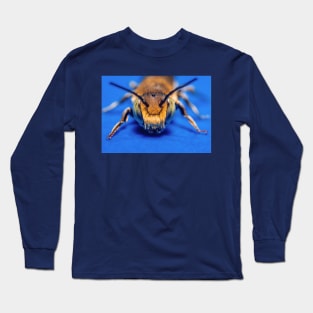 Macro Photograph Sand Wasp Cute Bug Long Sleeve T-Shirt
